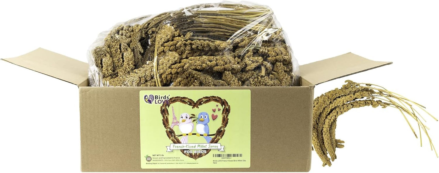 Birds LOVE French Kissed Spray Millet for Birds - Parakeets, Cockatiels, Lovebirds, Finches, Budgies, Canaries, Cockatoos - Natural & Healthy Bird Millet - Parakeet Food & Treats for All Parrots 5lbs