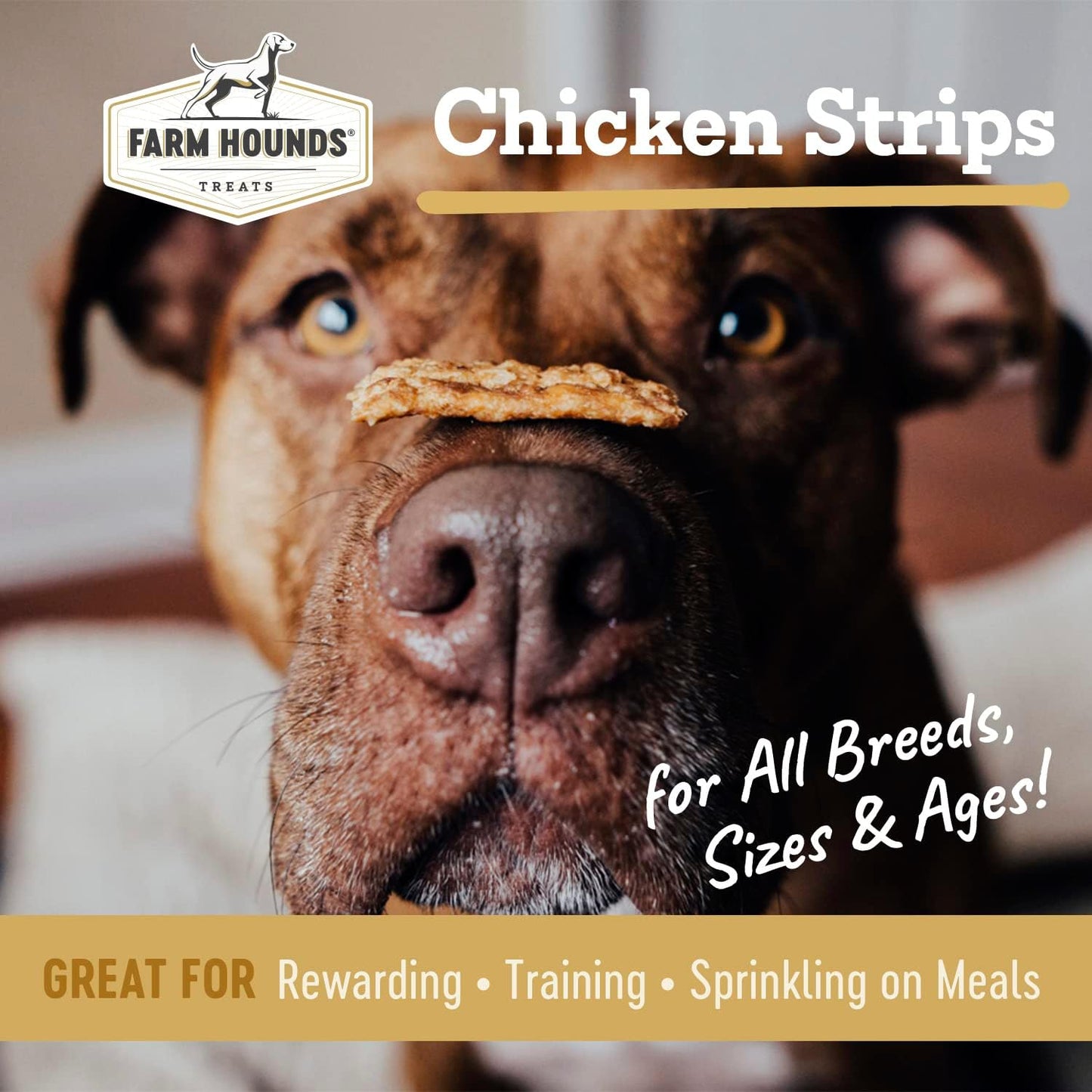 Farm Hounds - Chicken Strips - Premium Natural Jerky for Dogs - Made from 100% Humanely Raised Chicken - Break-to-Size - Great for Training & Treats - No Added Fillers - Made in USA - 4.5 oz - 1 Pack