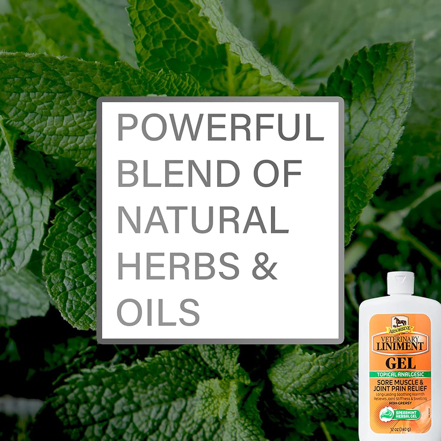 Absorbine Veterinary Liniment Topical Analgesic Sore Muscle and Arthritis Pain Relief Warming Liniment Rub, 12 Ounce Gel