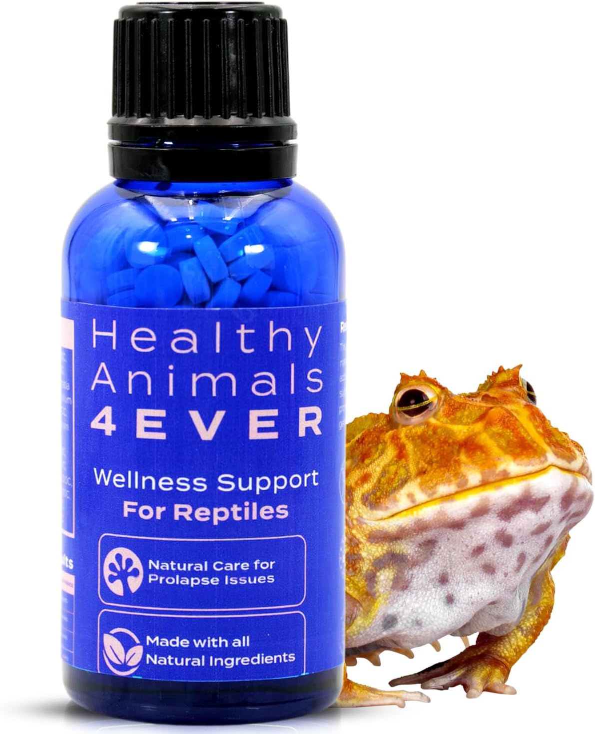 HA4E - Reptile Wellness Support - Natural Formula for Prolapse Management, Organ Retention & Tissue Health - Gentle Holistic Recovery - 300 Tablets