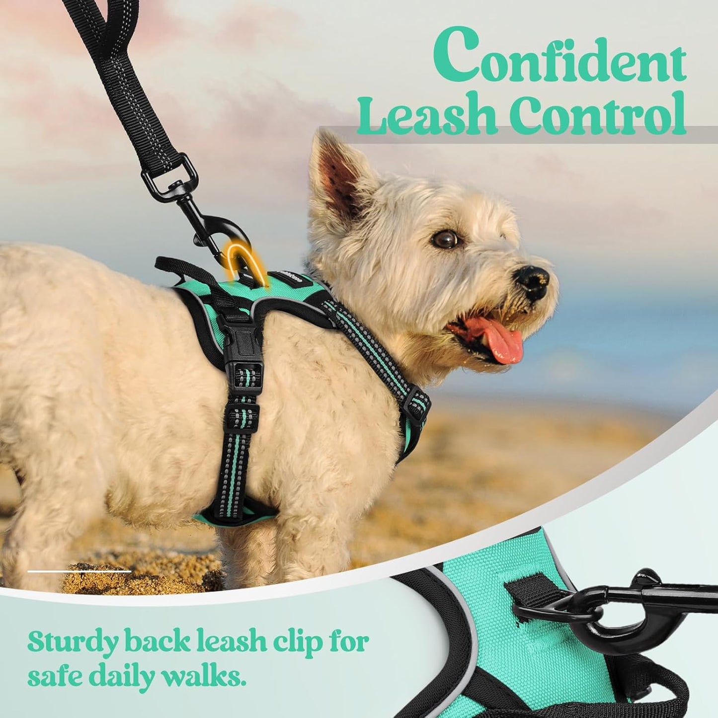 rabbitgoo Dog Harness No Pull with 2 Leash Clips, Adjustable Soft Padded, Reflective Oxford No Choke Pet Vest with Easy Control Handle for Puppy, Turquoise, XS