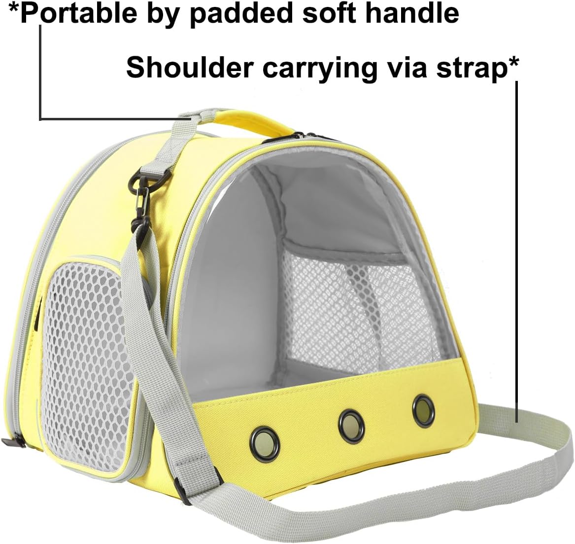 Bearded DragonTravel Cage,Lizards Carrier, Small Animal Travel Carrier for Hedgehog Rat Parrot Bird Guinea Pig, Portable Guinea Pig Travel Bag for 2