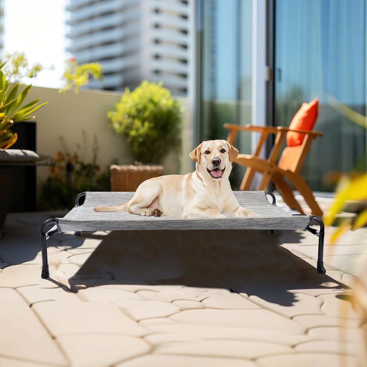 Veehoo Cooling Elevated Dog Bed - Raised Dog Bed with Guardrail, Non-Slip Portable Camping Cot, 41 x 27 Inches, Black Silver