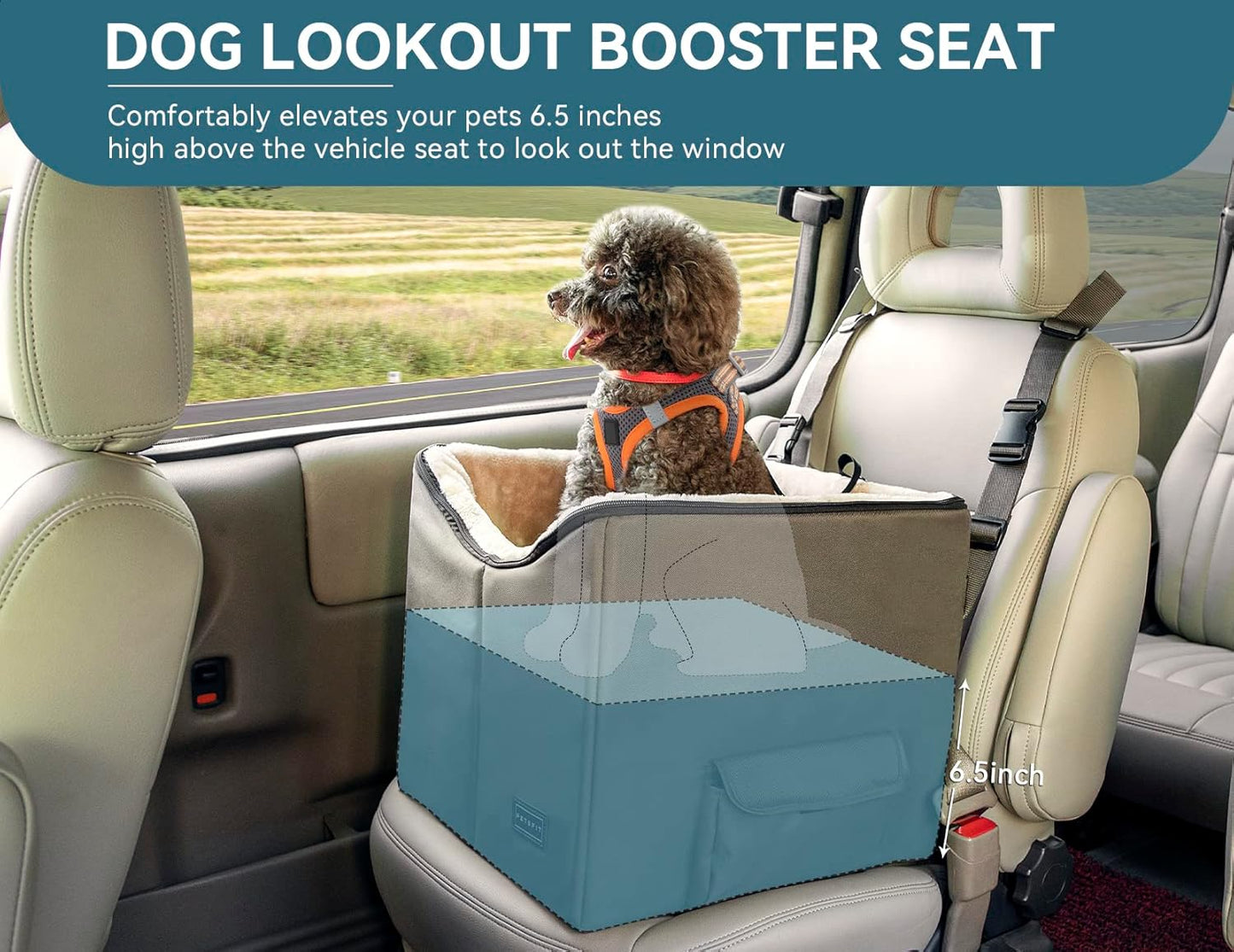 Petsfit Dog Booster Car Seat for Small Dogs, Dog Car Seat with Safety Leash, Suitable for Cars, Trucks, and SUVs (Small, Brown)