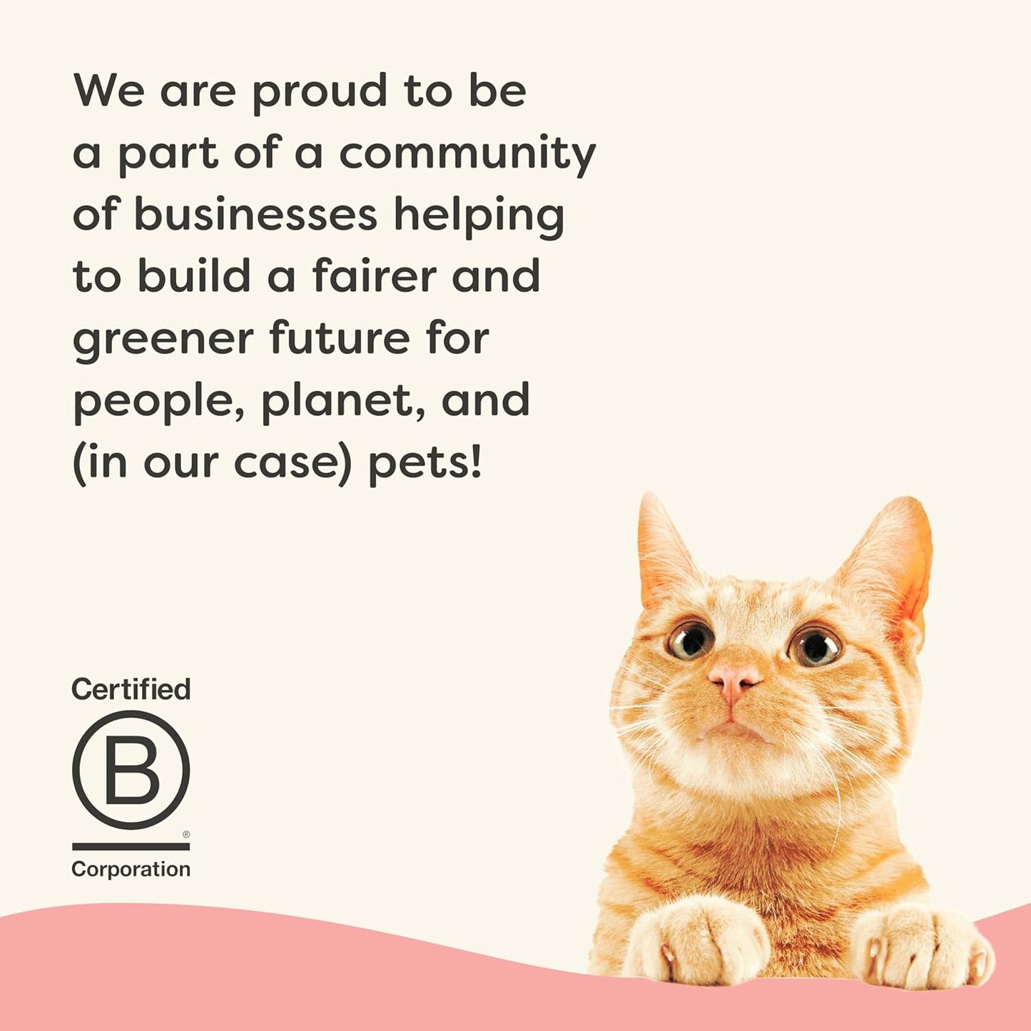 Applaws Vitality Wet Cat Food in Broth, Natural Canned Cat Food, Wet Food for Cats with Added Vitamins and Minerals, Grain and Carrageenan Free, Tuna Fillet & Salmon in Broth (24 Count, 2.47 oz Cans)