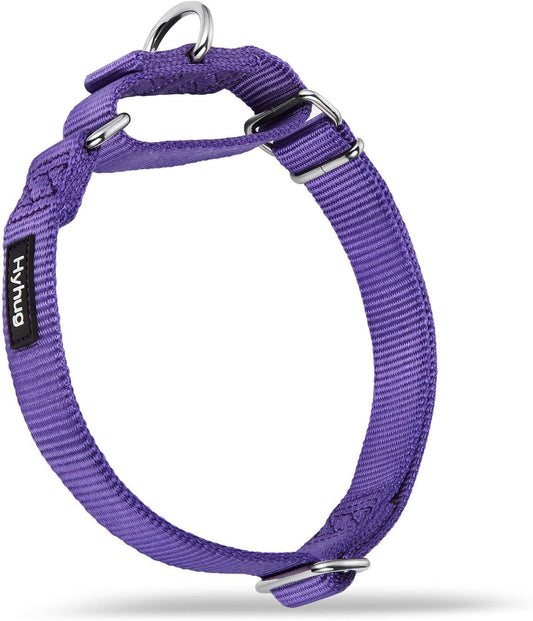 Hyhug Pets Premium Upgraded Heavy Duty Nylon Anti-Escape Martingale Collar for Boy and Girl Dogs Comfy and Safe - Daily Use Walking and Professional Training. (Large, Ultra Violet)