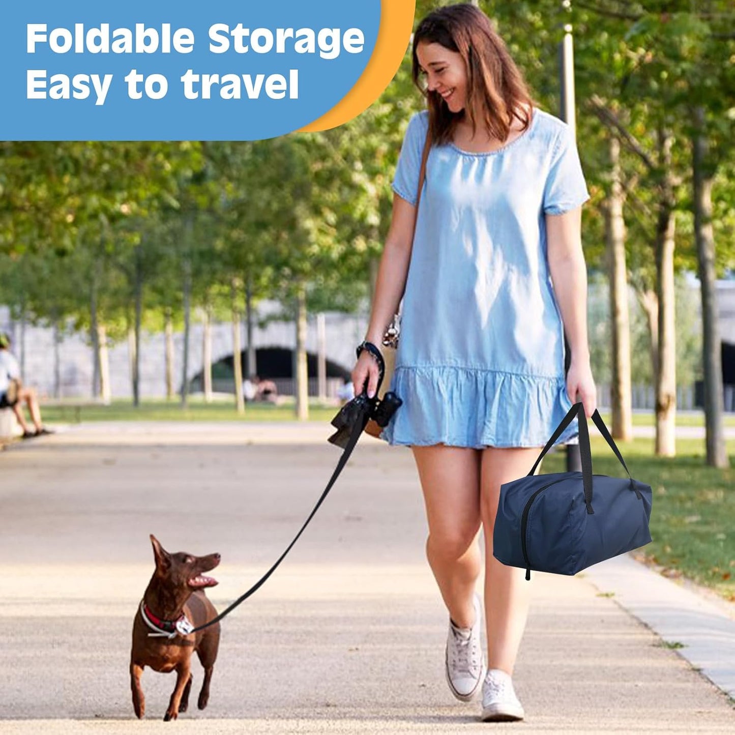 24 inch Small Dog Crate - for Small Dogs, Portable Travel Pet Crate with 4 Mesh Doors, Foldable Car Kennel for Puppy with Handle for Indoor and Outdoor, Bule