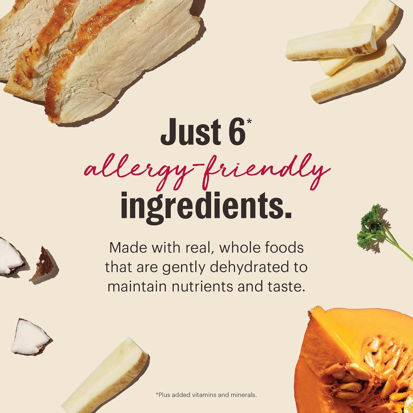 The Honest Kitchen Wholemade™ Limited Ingredient Turkey Dog Food, 10 lb Box