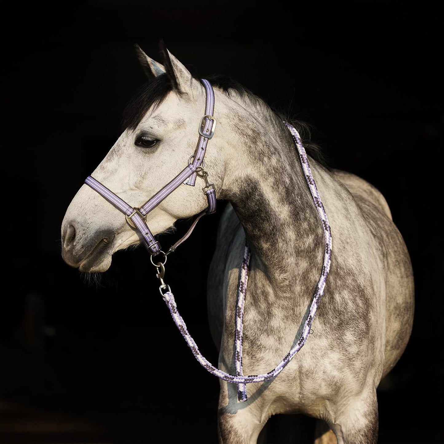 HORZE Adepto Adjustable Horse Halter | Soft, Durable Polyester - Languid Lavender Purple - Cob