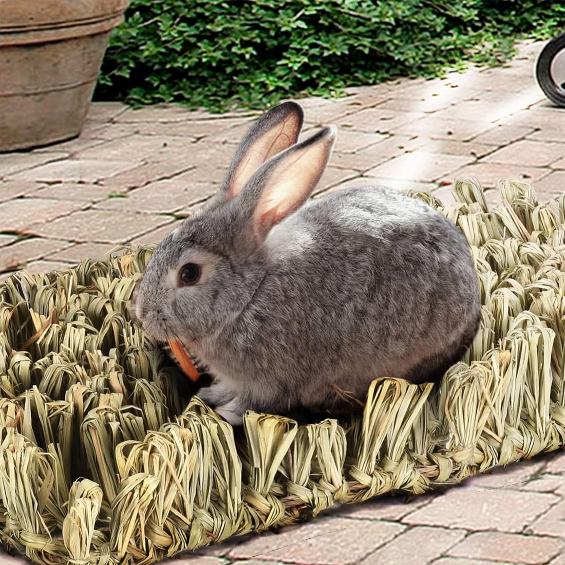 Hamiledyi Rabbit Grass Bed Bunny Natural Straw Woven Mat Guinea Pig Hay Mat Chew Mat for Rabbit Guinea Pig Chinchilla Squirrel Hedgehog(10.6x7.5x3.5inches)