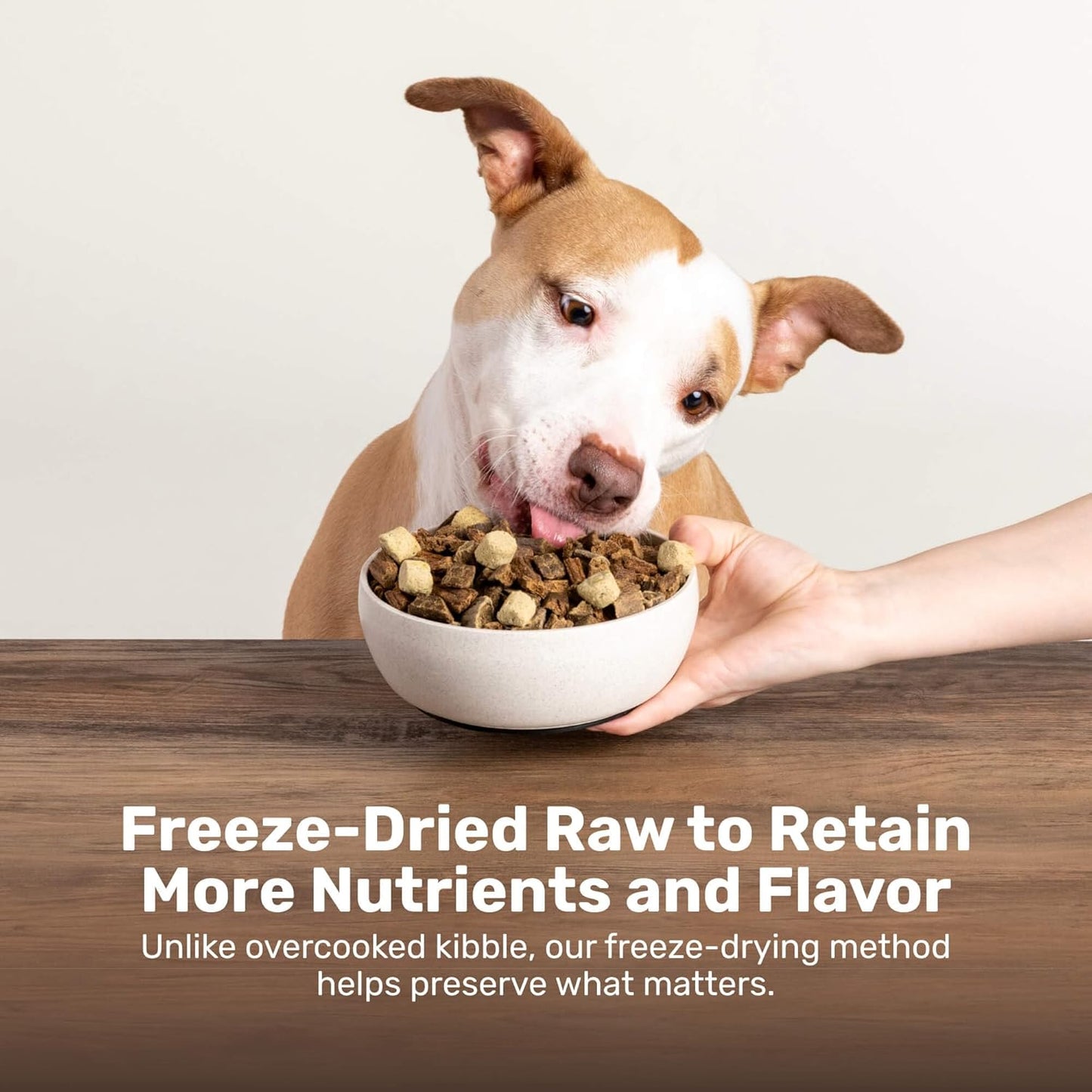 BADLANDS RANCH Superfood Nuggets- Premium, Freeze-Dried raw Dog Food Topper or Treat. Powerful Nutrient-Dense Ingredients. No Artificial additives. Duck and Kale Formula 8oz - 4pk Bundle