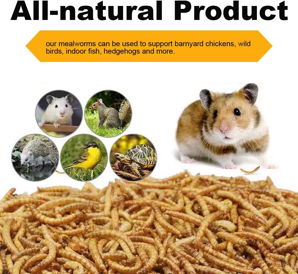 20lbs Mealworms, High-Protein Dried Mealworms for Birds, Chickens, Turtles, Fish, Hamsters and Hedgehogs, Non-GMO and Chemical Free, All Natural Animal Feed