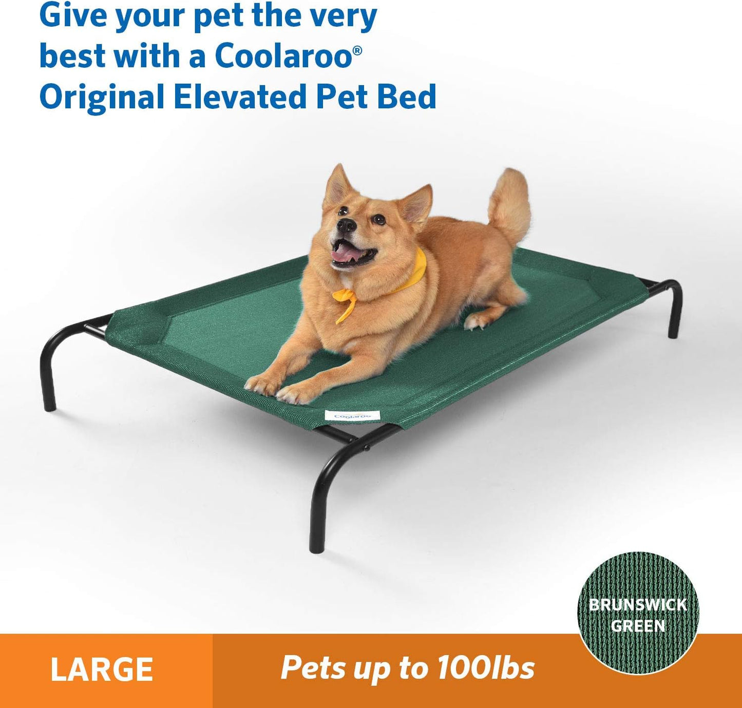 Gale Pacific Coolaroo The Original Cooling Elevated Dog Bed, Indoor and Outdoor, Large, Brunswick Green, 51.00" x 31.50" x 8.00"