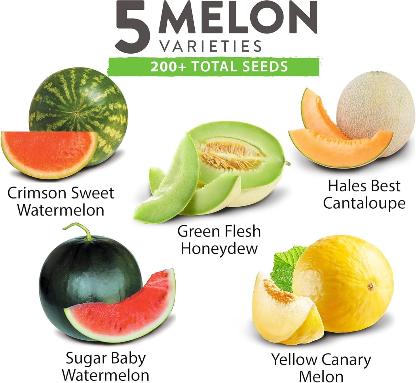 HOME GROWN 𝗨𝗦𝗔 𝗣𝗥𝗘𝗠𝗜𝗨𝗠 Melon Seeds Variety Pack 5 𝗡𝗢𝗡-𝗚𝗠𝗢 Heirloom Vegetable Seeds, Watermelon Cantaloupe Honeydew Sugar Baby & Melon, High Germination for Planting Home Garden Indoors