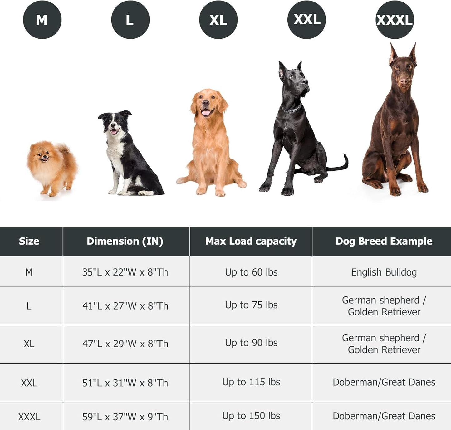 Elevated Dog Bed for Outdoor, XXXL Raised Dogs Cot with Washable Mesh, Cooling Pet Beds Chew Proof Dog Hammock, Metal Frame Lifted Platform for Training Outside Camping, 59 inch Grey