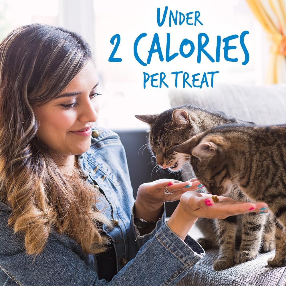 Fruitables Cat Treats Crunchy Cat Treats Packed with Protein Healthy Low Calorie Free of Wheat, Corn and Soy Made with Real Chicken and Blueberry 30 Ounces