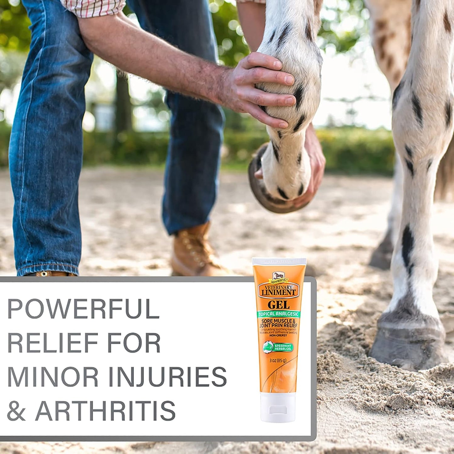 Absorbine Veterinary Liniment Gel, Topical Menthol Analgesic Rub for Sore Muscle, Joint & Arthritis Pain Relief, Combo Pack Includes 12oz Value Size + 3oz Travel Size