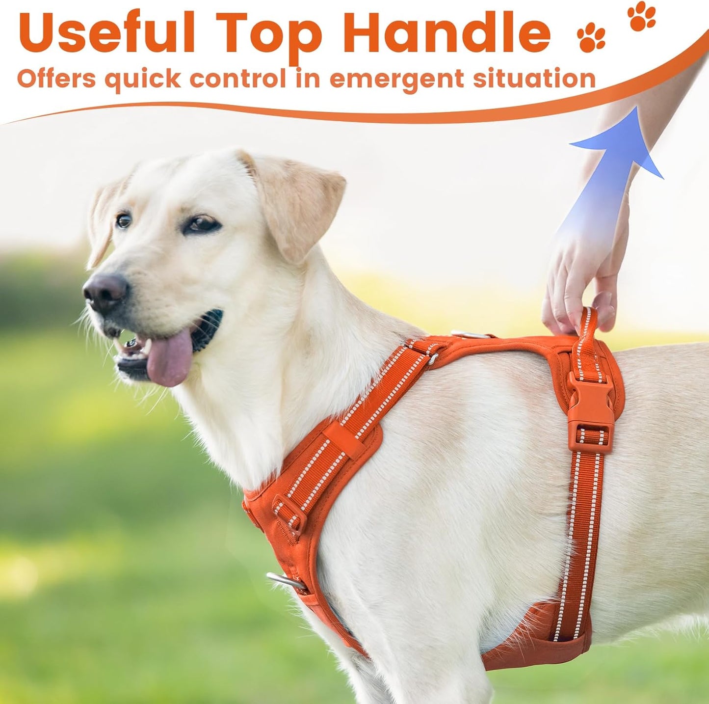 No Pull Dog Harness, Reflective Puppy Vest for Small Medium Large Sized Dog(Orange,L)
