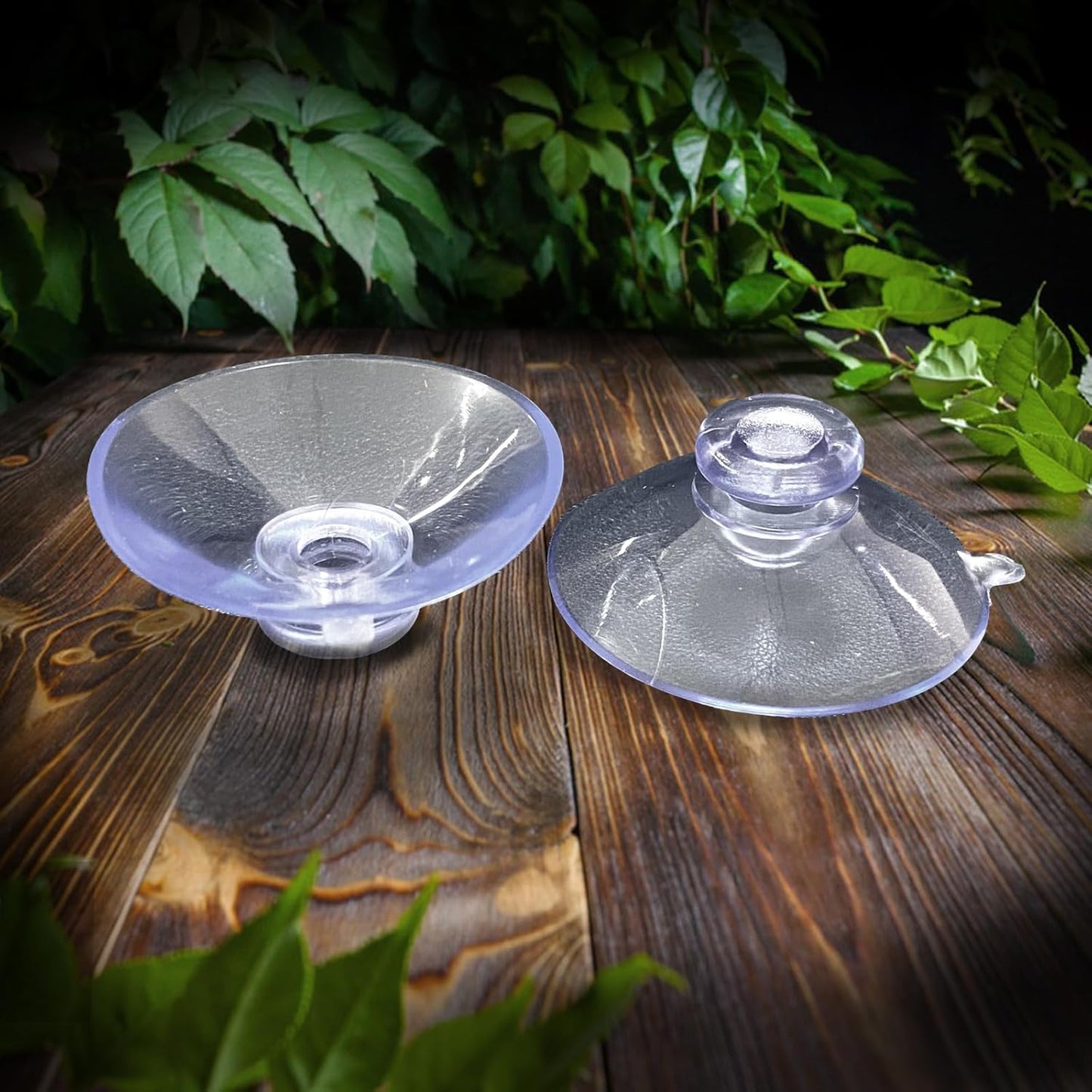 Bearded Dragon Feeder, Transparentk Acrylic Reptile Feeder Box, Chameleon Bug Bowl, Wall-Mounted Insect Feeder with Suction Cups, Tank and Aquarium Accessories for Lizard Bearded Dragon Frog