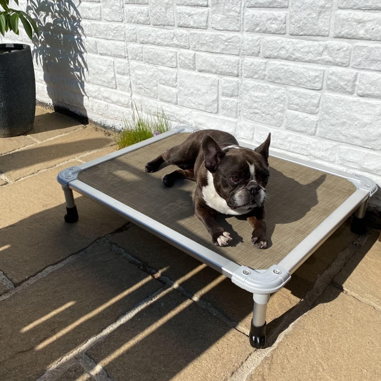 Veehoo Chew Proof Elevated Dog Bed - Cooling Raised Pet Cot - Silver Aluminum Frame and Durable Textilene Mesh Fabric, Unique Designed No-Slip Feet for Indoor or Outdoor Use, Beige Coffee, Medium