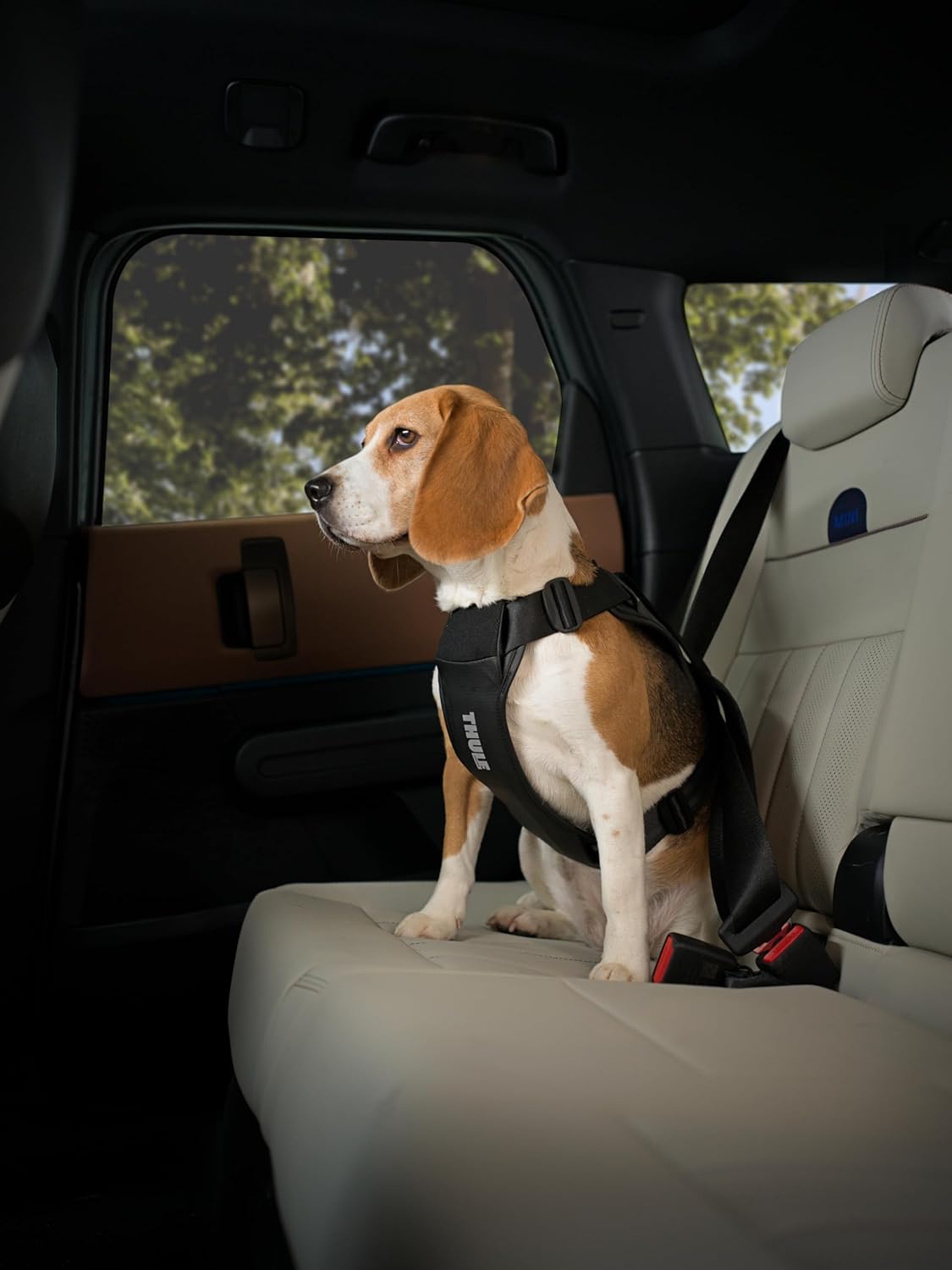 Thule Cappy Dog Harness L - Crash-Tested for Safety - Seatbelt passthrough - Adjustable & Easy to Clean - Padded Breathable mesh Panels - Leash Loop - Step-in Design