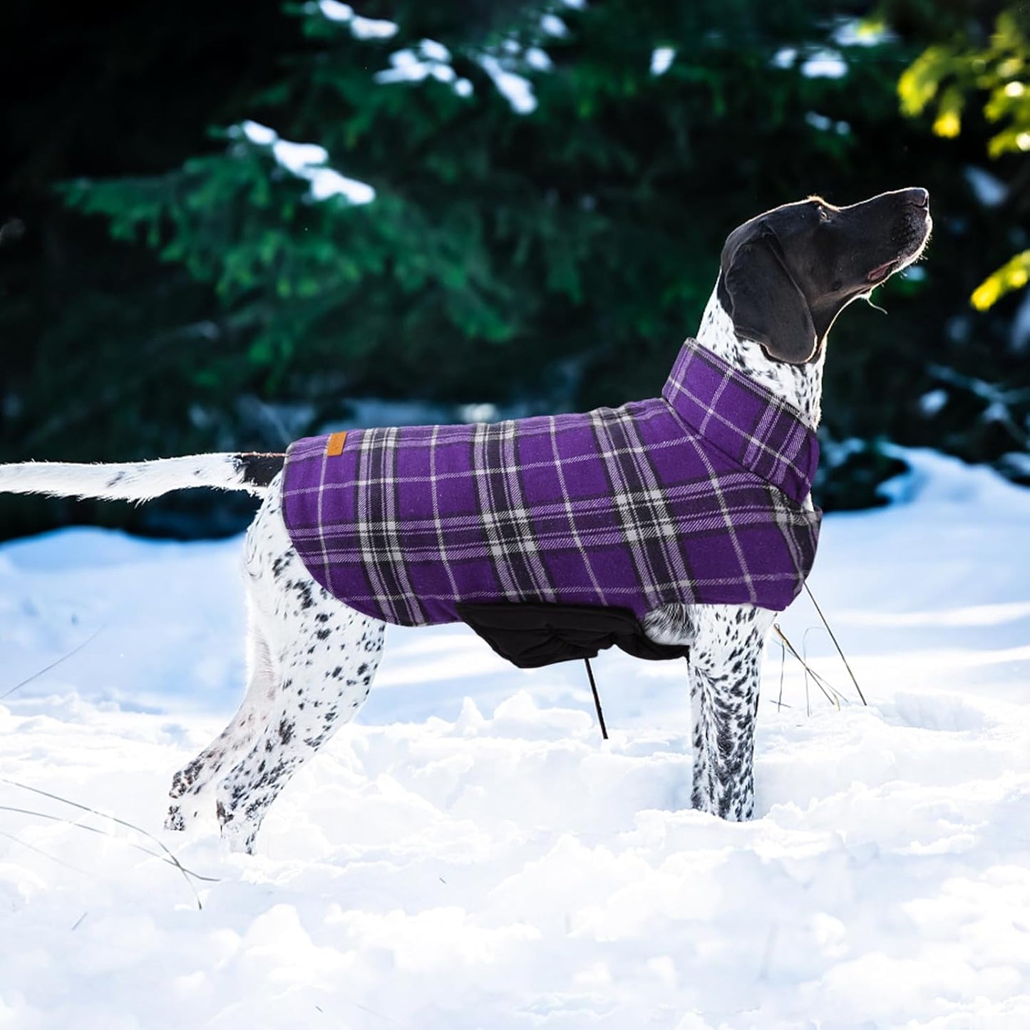 Kuoser Warm Dog Coat, Waterproof Dog Jacket for Extra Large Dogs, Adjustable Durable XXL Doggie Winter Coat Reversible Puppy Cold Weather Apparel from Small to Large Breed, Purple XXL