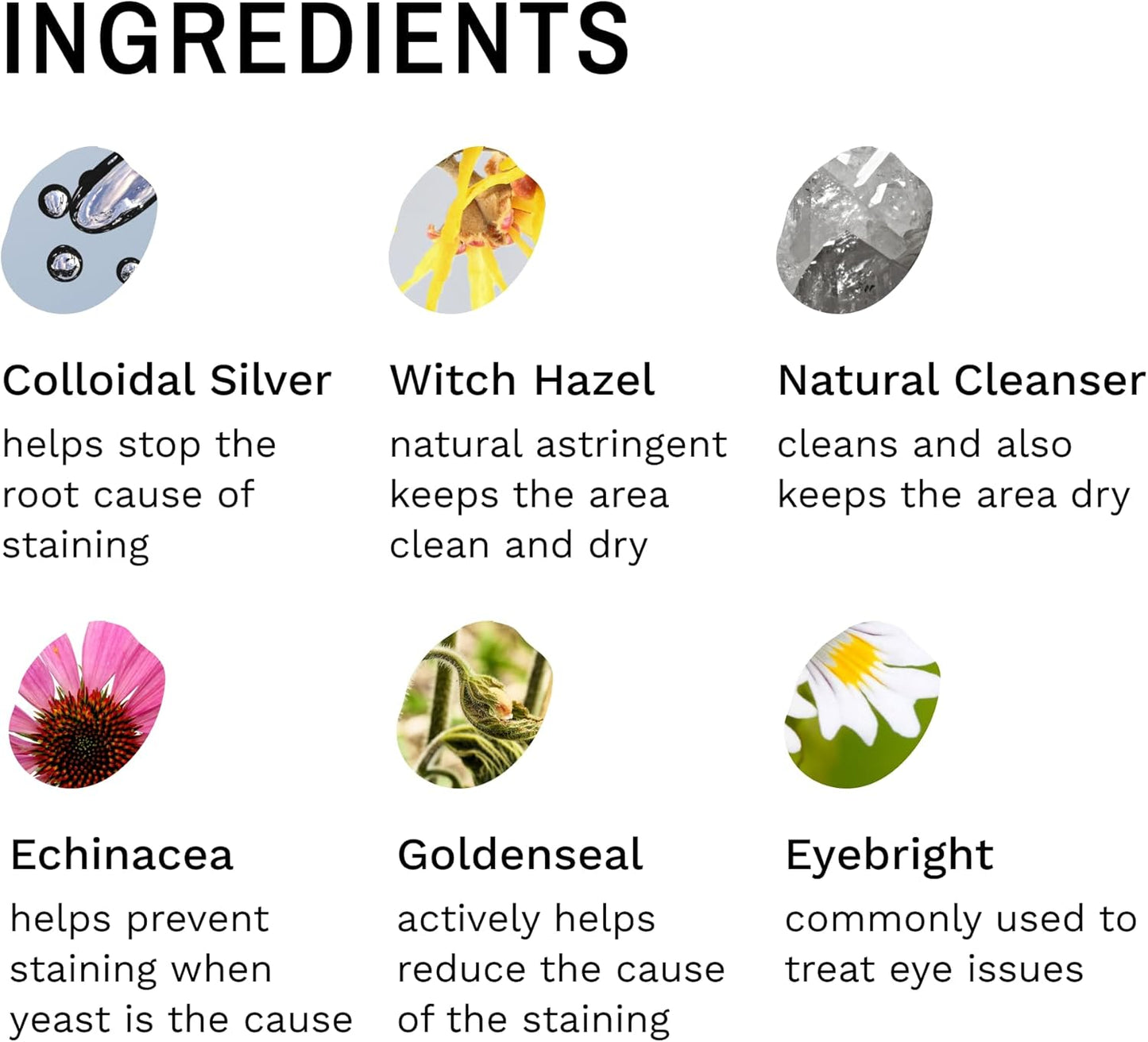 Eye Envy Dog Tear Stain Remover Starter Kit with ProPowder Brush | Stain Solution, Applicator Pads, Stain Powder and Large Applicator Brush | Lasts 30-45 Days