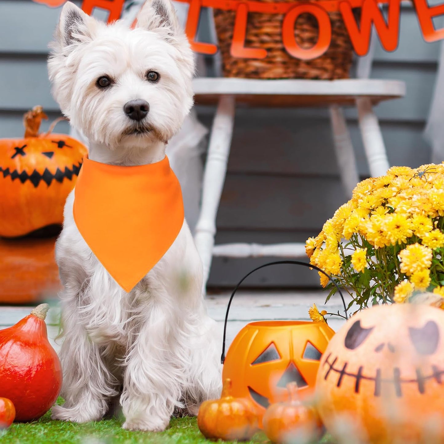 48 Pcs Halloween Blank Dog Bandanas Bulk Sublimation Plain Bandanas for Dogs Heat Transfer Personalized DIY Triangle Bibs Scarf Set for Pets Halloween Costume Photo Props Accessories Pet Shops