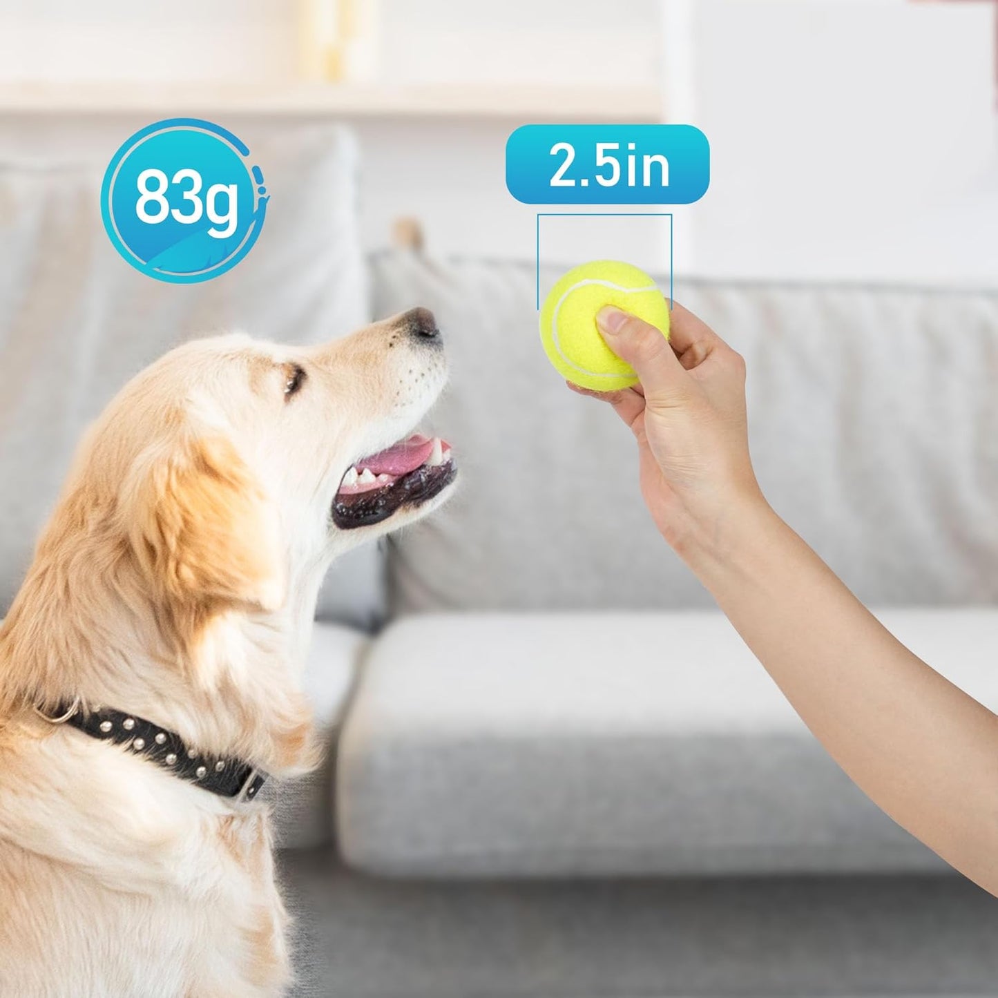 Prime Pets Toys for Dogs, 2.5 Inch Dog Toys, Interactive Pet Dog Toy Balls for Medium, Large Dogs, Tennis Balls for Dogs