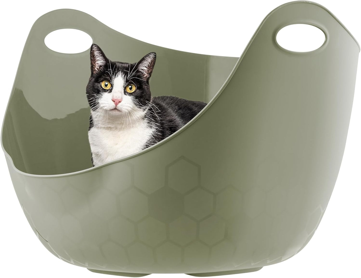 IRIS USA Cat Litter Box with High Walls and Handles, Made with Flexible Plastic, Sage Green