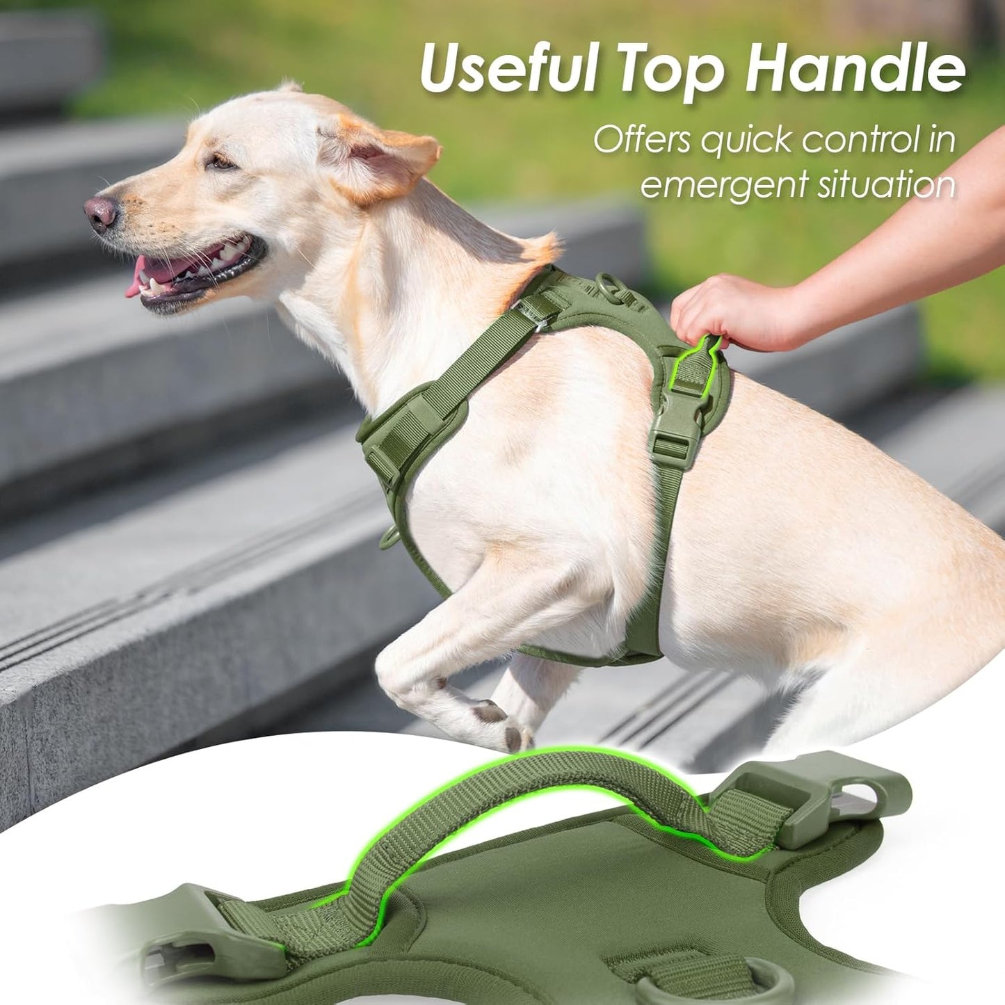 No Pull Dog Harness, Puppy Vest with Front Clip for Small Medium Large Sized Dog (Misty Green,XS)