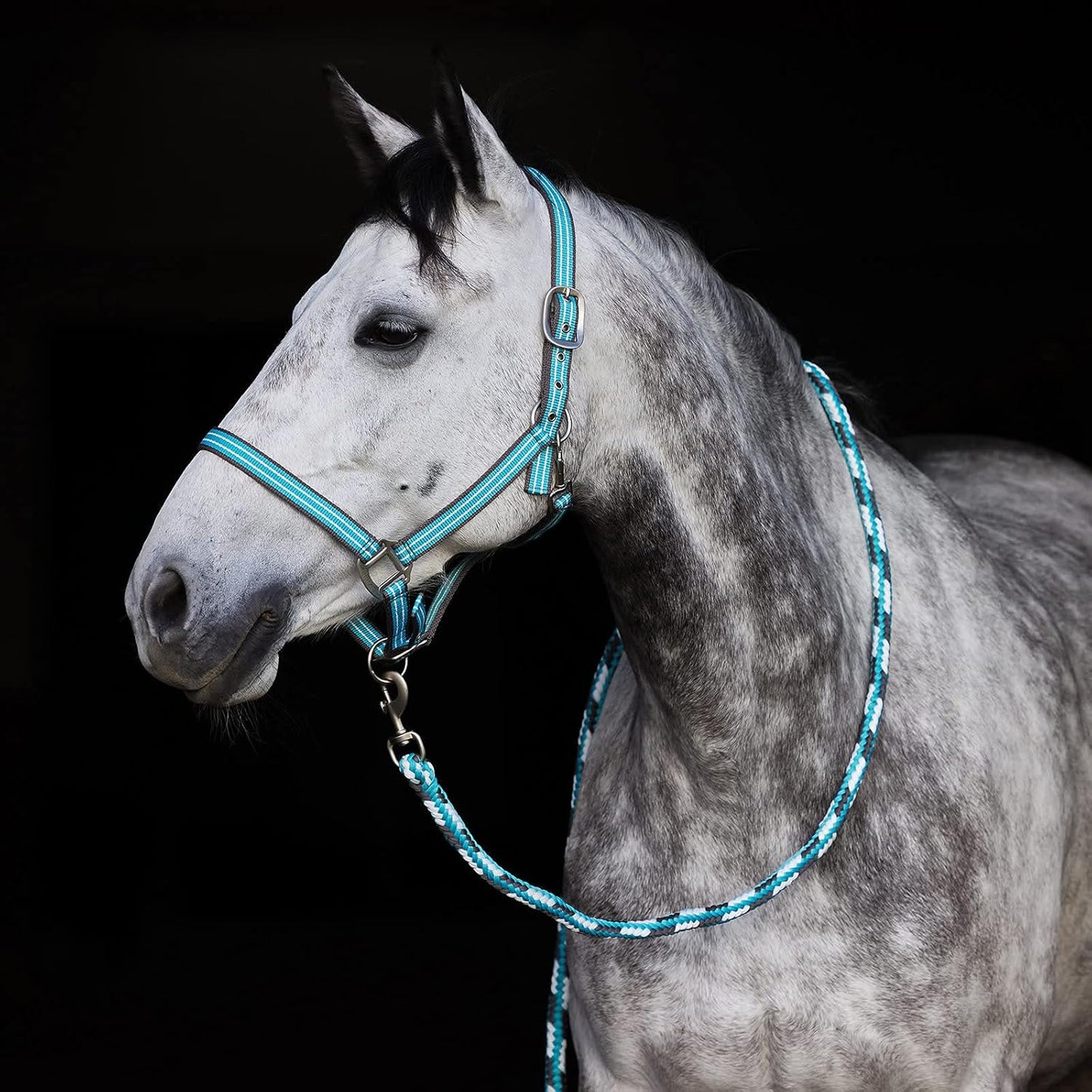 HORZE Adepto Adjustable Horse Halter | Soft, Durable Polyester - Canal Blue - Cob