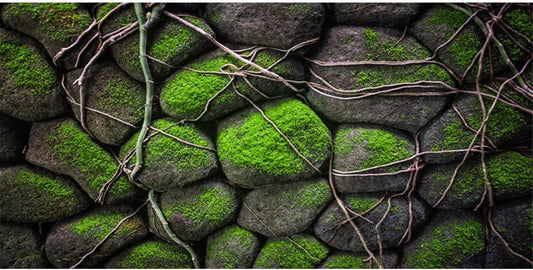 AWERT 36x24 inches Stone Aquarium Background Rock Fish Tank Background Rocky Terrarium Background Vinyl