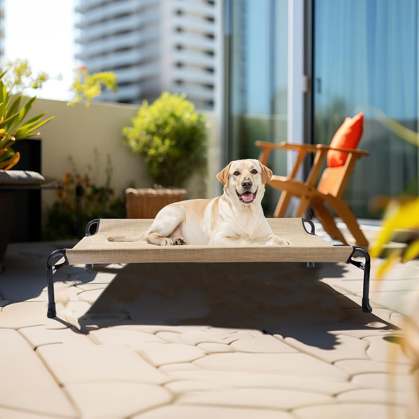 Veehoo Cooling Elevated Dog Bed - Raised for Large Dogs, Outdoor With Guardrail, Upgraded Non-Slip Feet, Breathable Teslin Mesh, Portable Camping Cot, 41 x 27 Inches, Beige Coffee