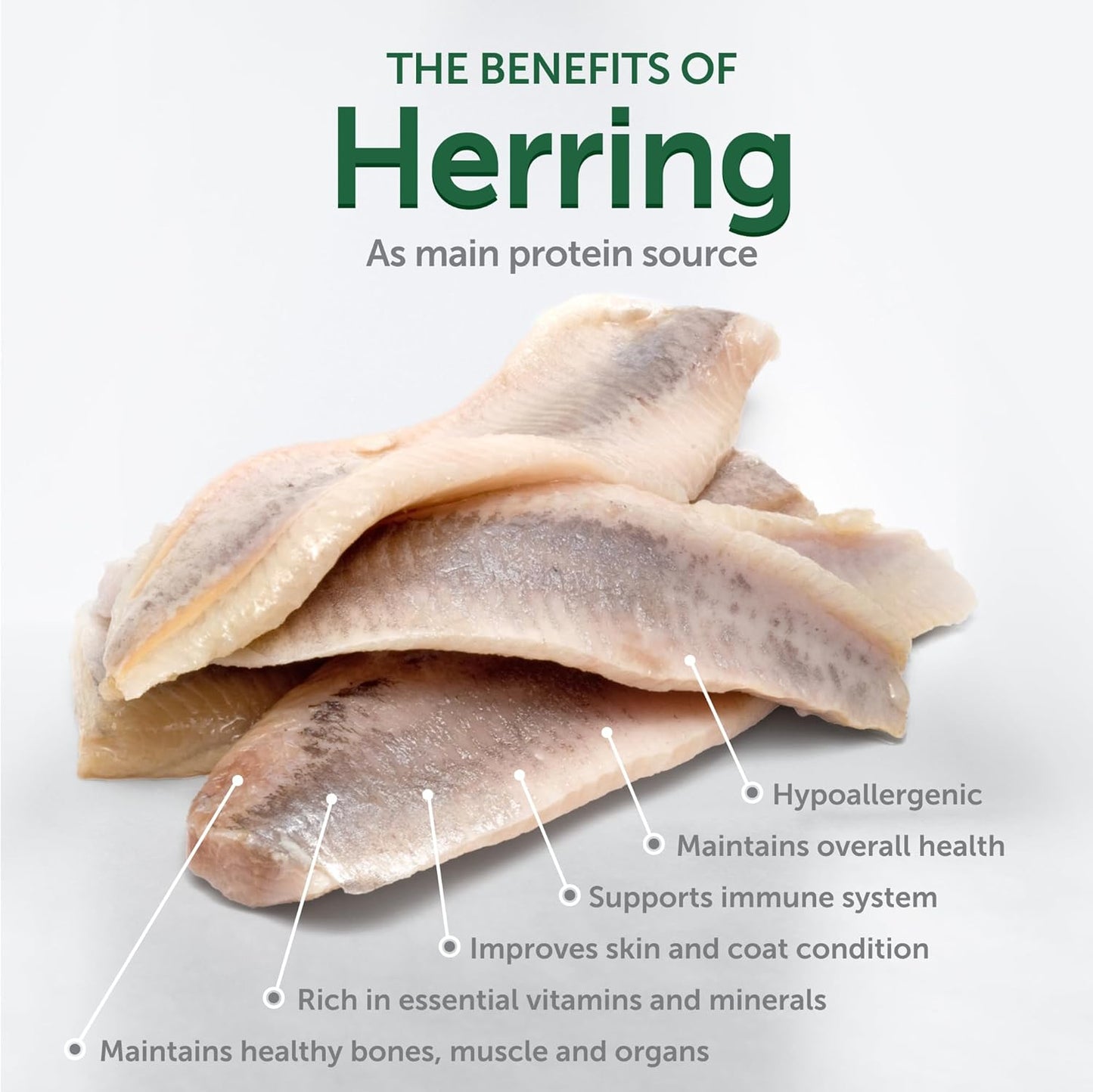 Nature's Protection Grain Free Dry Dog Food for Small Breed - High Protein Tear Stain Formula - Small Kibble for Adult Dogs with Light Fur (Superior Care - Herring, 3.3 lb)