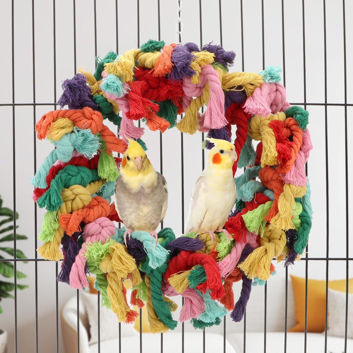 Hypeety Pet Toy Cotton Ring for Parrot Exercise, Chew, Snuggle Bird Toys, 30 cm / 11.8 in Diameter