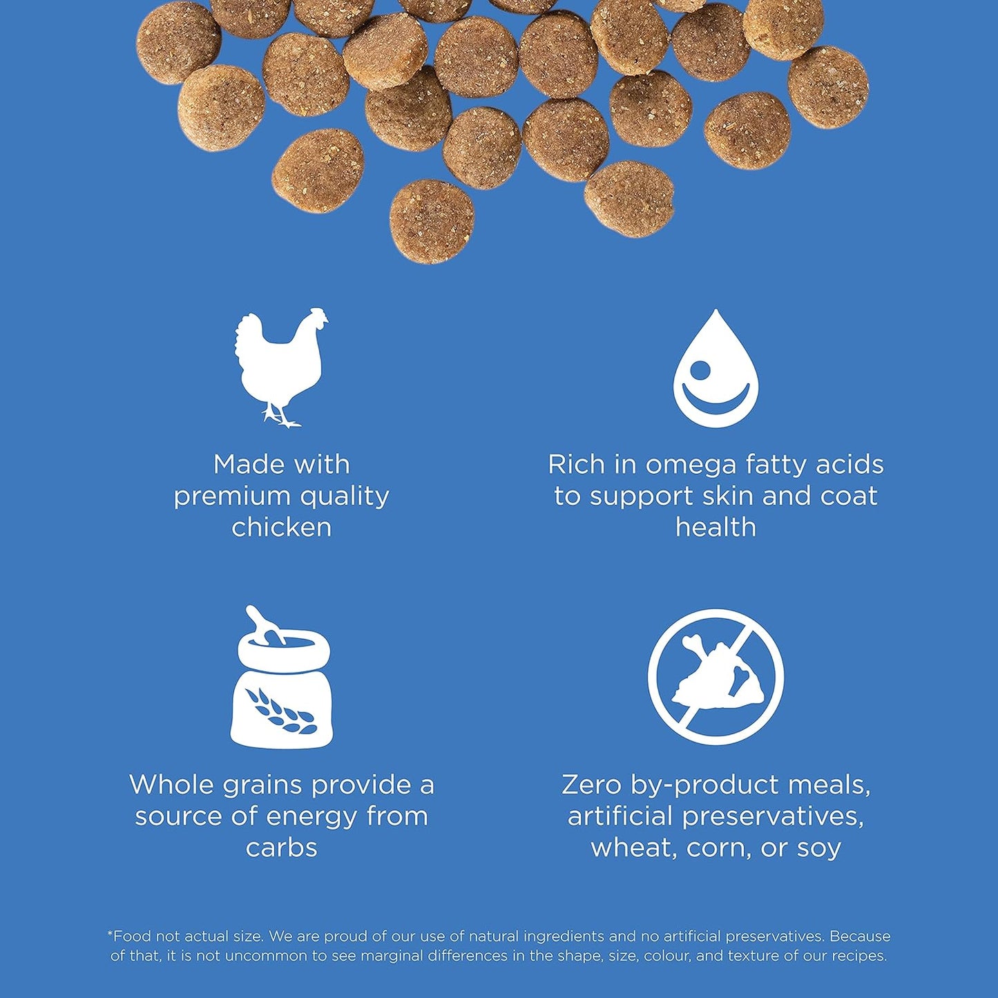 Go! Solutions Skin + Coat Care, Dry Dog Food, Chicken Recipe with Grains, 12 lb Bag