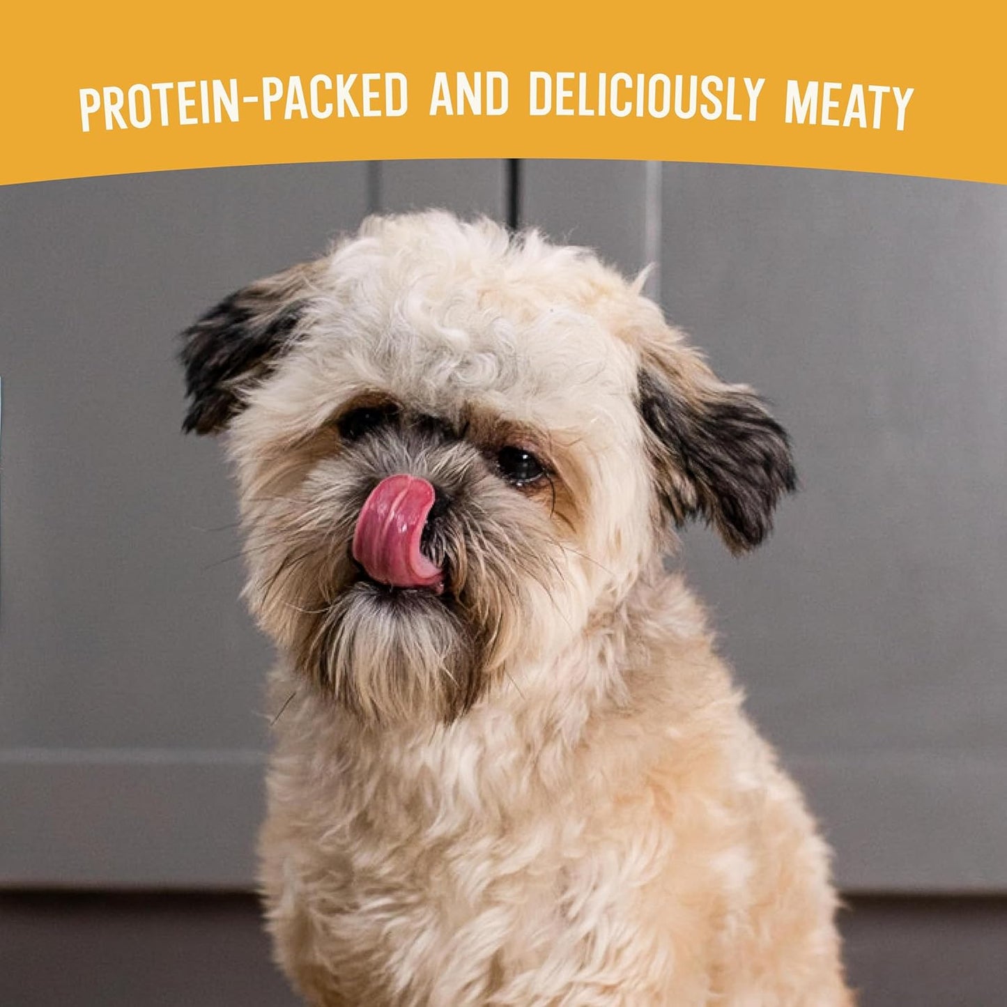 Open Farm, Air Dried Dog Food Infused with Bone Broth, Grain & Legume Free, Complete Meal or Food Topper, Harvest Chicken Recipe, 2lb Bag