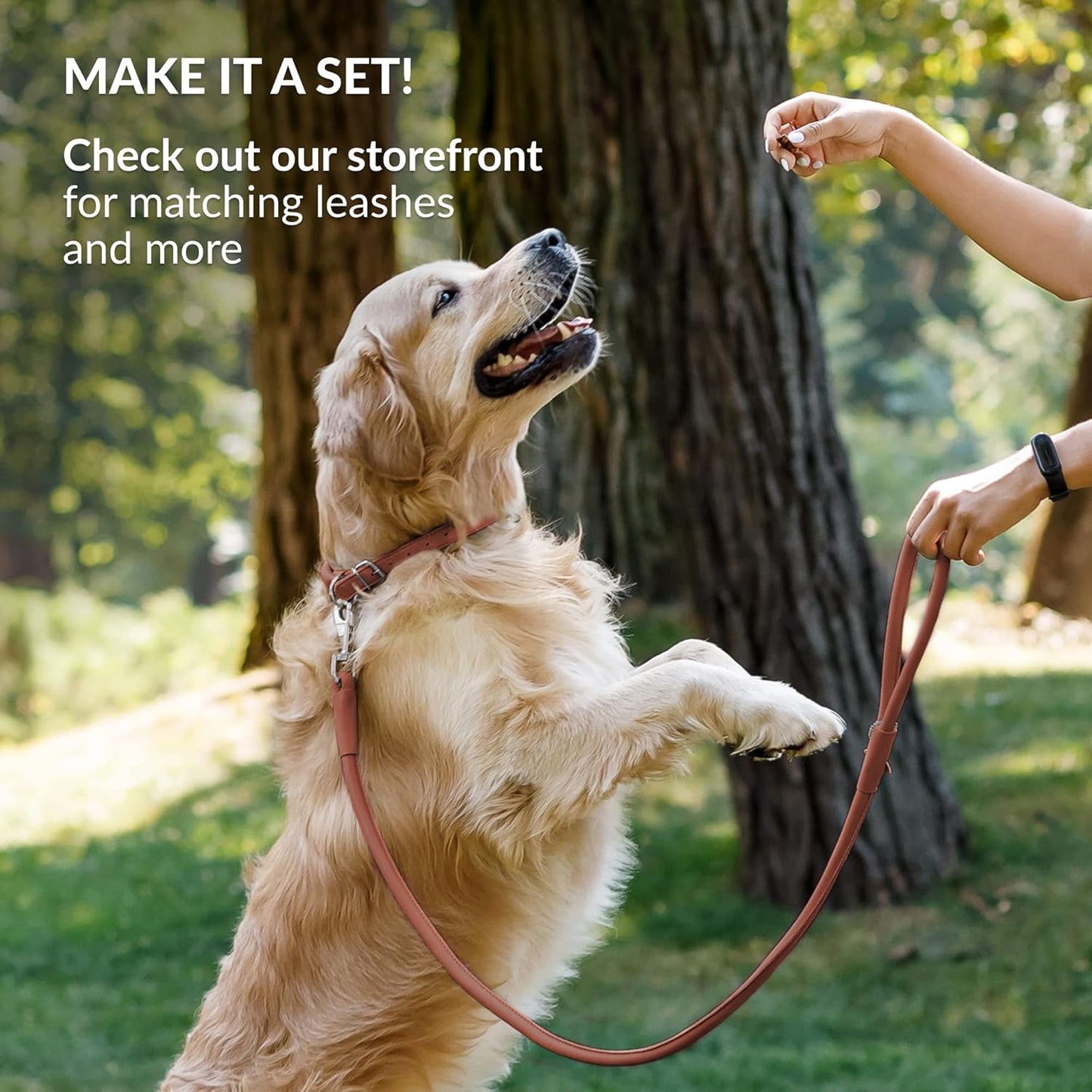 CollarDirect Rolled Leather Dog Collar, Soft Padded Round Puppy Collar, Handmade Genuine Leather Collar Dog Small Large Cat Collars 13 Colors (6 Inch, Cinnamon Smooth)