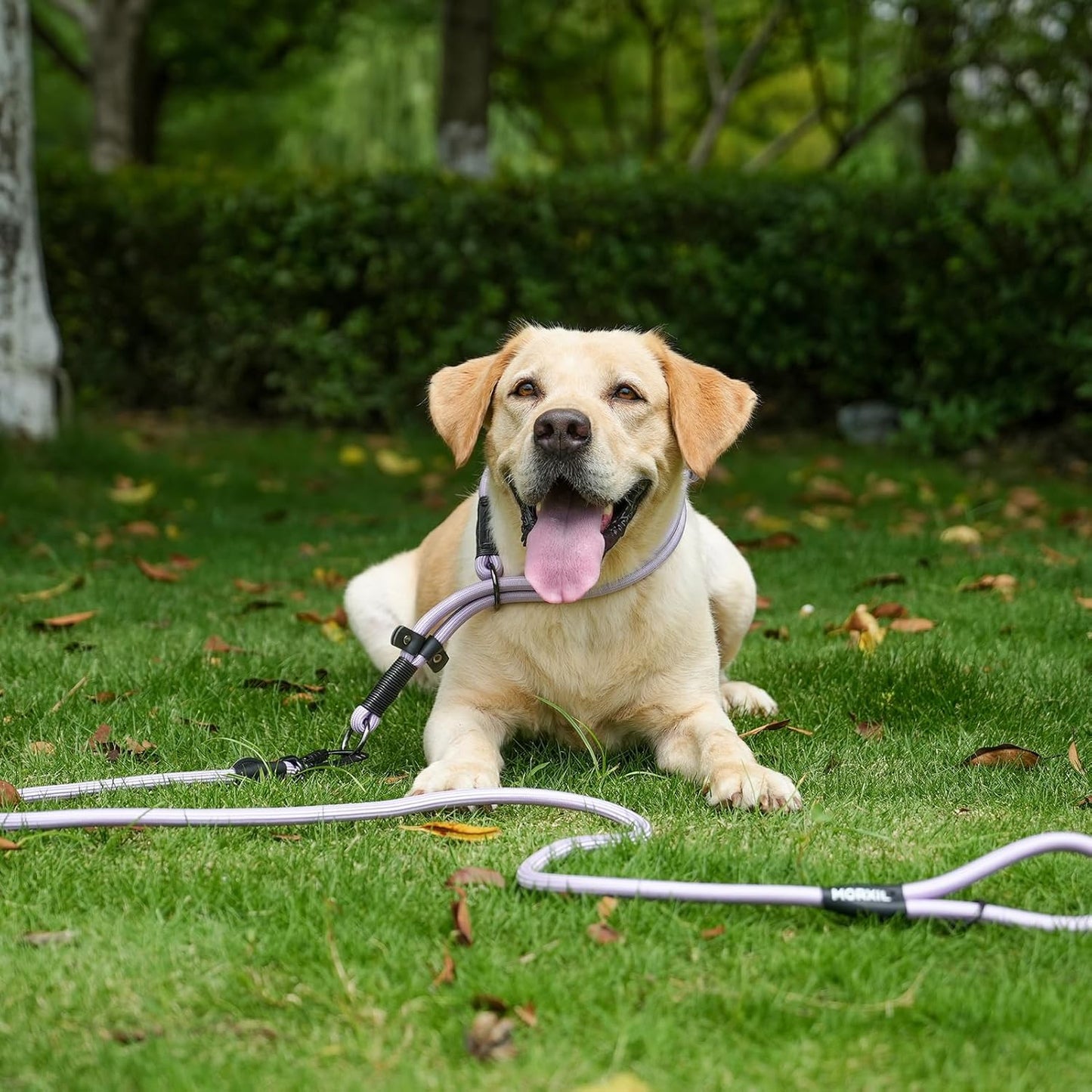 Rope Dog Leash, 6 Foot Heavy Duty Dog Leash with Aviation Aluminum Auto Locking Carabiner, Strong Nylon Pet Lead for Small, Medium, Large Dogs (Purple, 6FT)