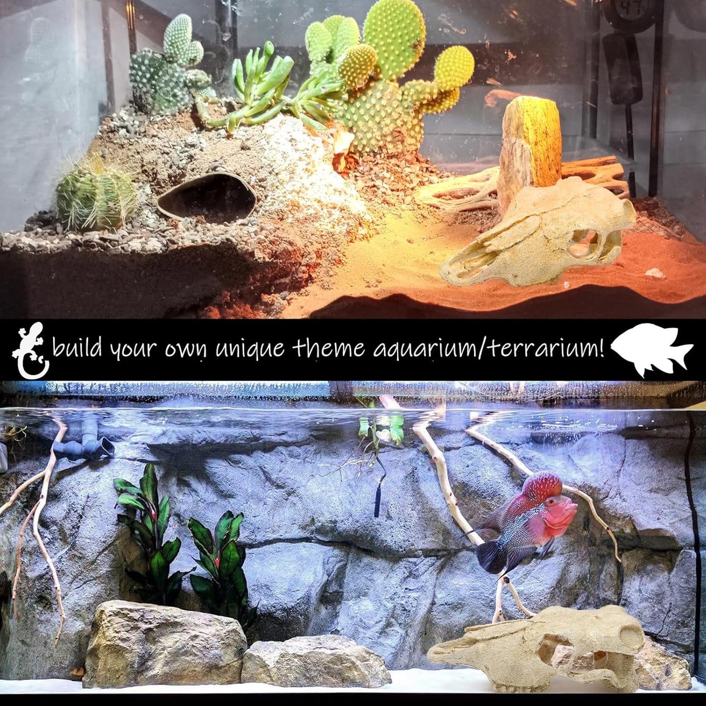 Aquarium Skull Décor Fish Hideout Cave Decorations Betta Tarantula Reptile Snake for Terrarium Ornament Dinosaur Animal Large Bones Halloween