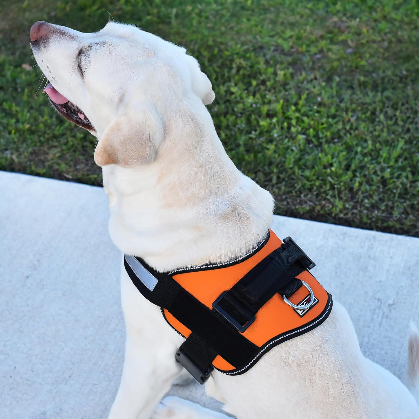 Dogline Dog Harness, Reflective No-Pull Adjustable Vest with Handle for Walking, Training, Breathable, No - Choke Harness for Small, Medium or Large Dogs Room for Patches Girth 15 to 18 in Orange