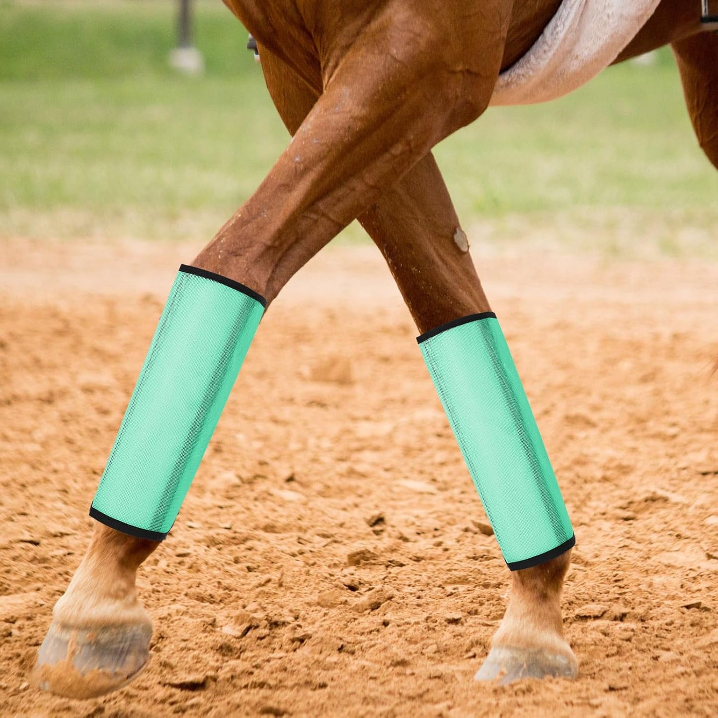 Jexine 12 Fly Boots for Horse Set of 12 Loose Breathable Mesh Horse Fly Sheets Protective Horse Leg Wraps Leggings for Preventing Flies and Mosquitoes Bites (Blue, Green,Red)