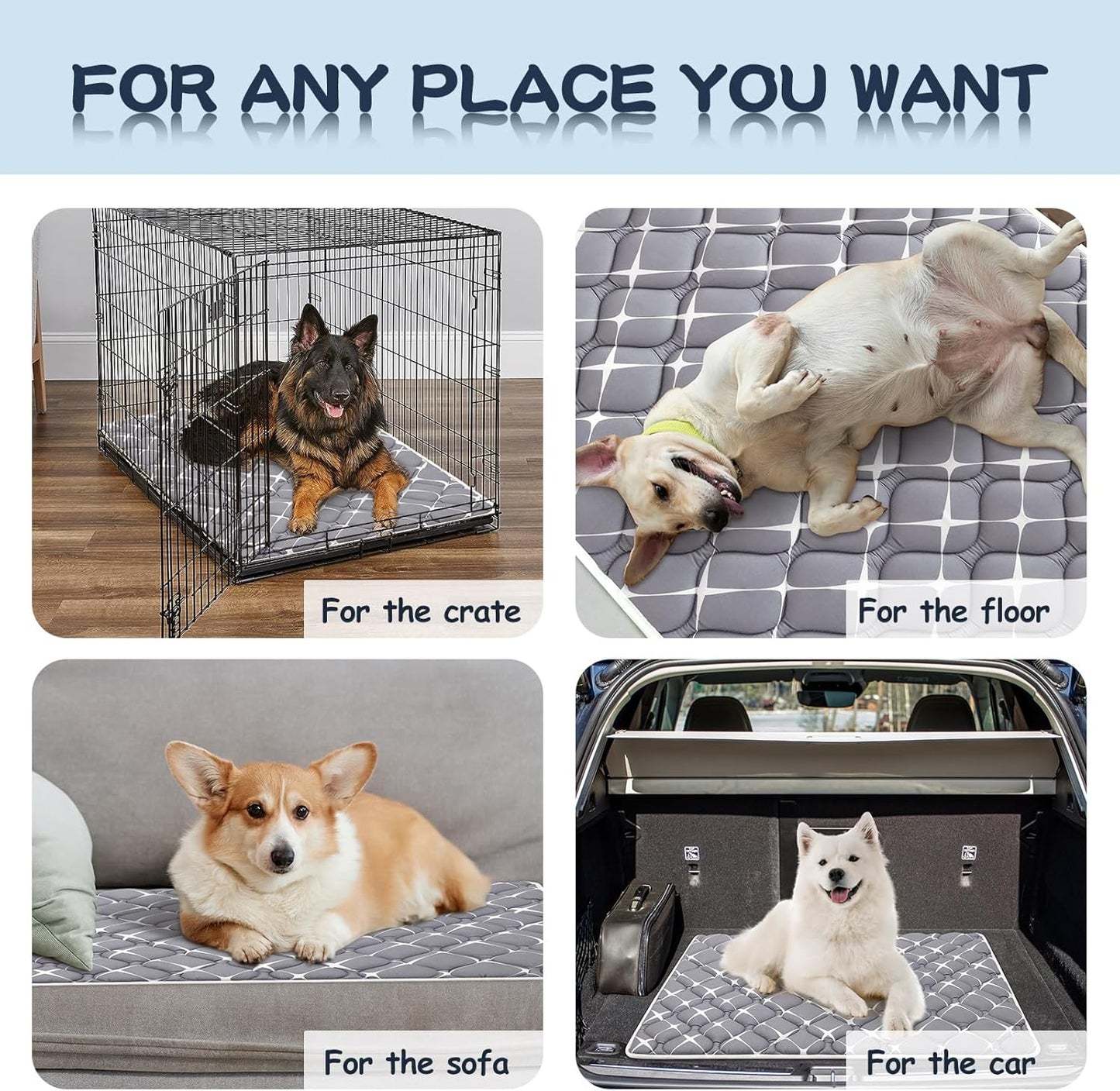 Bubble bear Dog Crate Mat - Ultra Soft, Washable & Anti-Slip Kennel Pad for Small/Medium/Large Dogs, Dark-Hued to Hide Stains (42"x28")