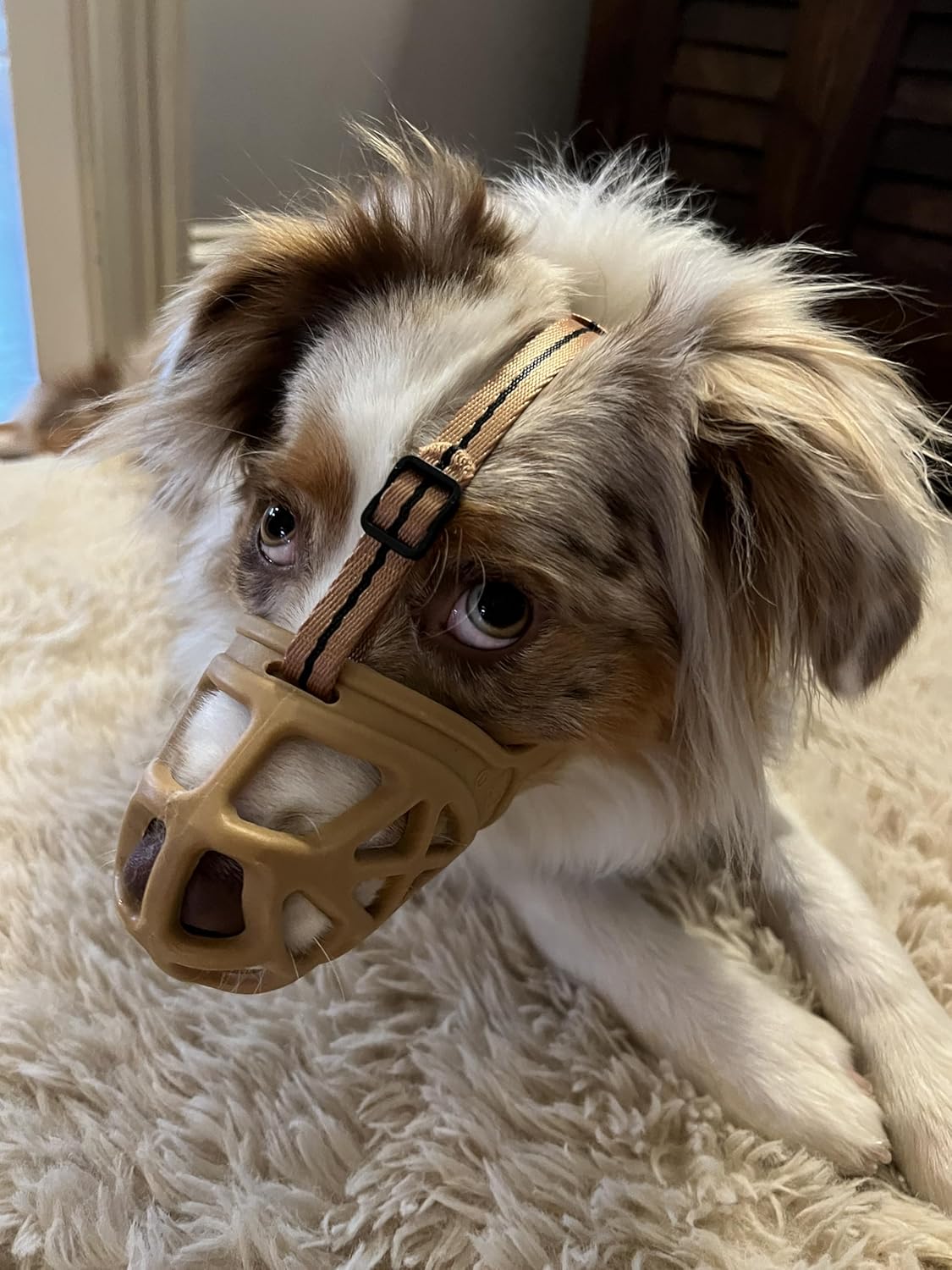 Mayerzon Dog Muzzle, Breathable Basket Muzzles for Small, Medium, Large and X-Large Aggressive Dogs Beagle German Shepherd Doberman, Cage Mouth Guard Stop Biting Chewing for Grooming Training