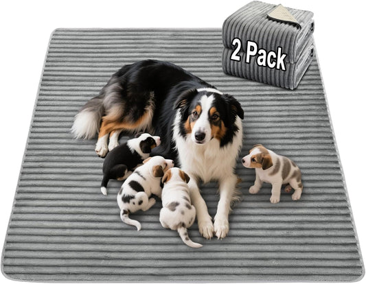 Flannel Washable Pee Pad for Dogs - 2 Pack Reusable Dog Pee Pads Extra Large, Fast Absorb Pet Playpen Mat with Non-Slip Back, Waterproof Puppy Training Pad. (Light Grey, 36" X 48")