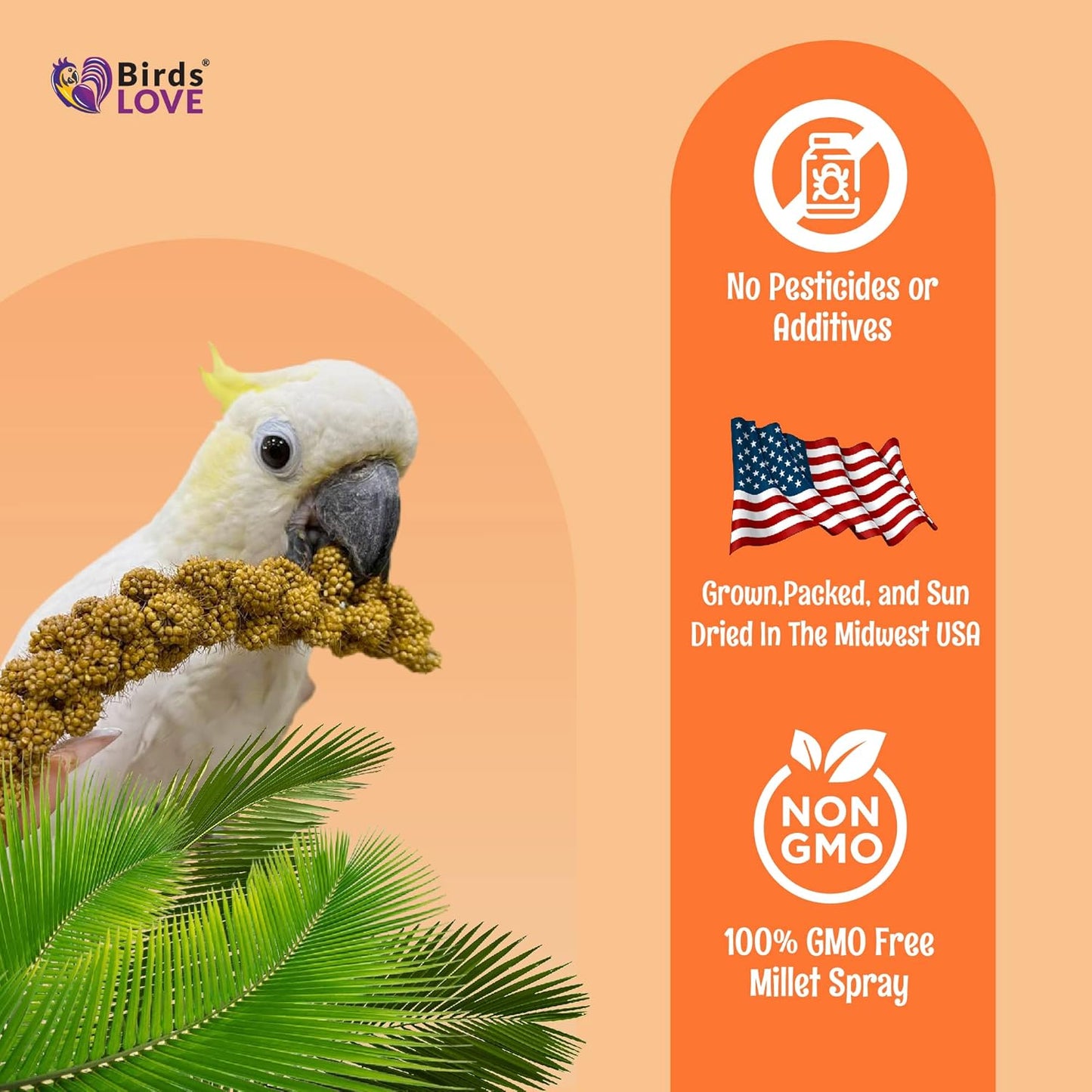 Birds LOVE Wholesome & Lovely Spray Millet | GMO Free (No Stems Only Edible Tops) for Parrots Birds Cockatiel Lovebird Parakeet Finch Canary All Parrots Healthy Treat -25lbs