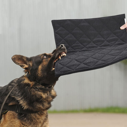 MABOZOO Indestructible Dog Bed - Chew Proof Crate Pad, Machine Washable Quilted Mat for Aggressive Chewers, Durable for Medium Dogs, Black Kennel Pad (22x35 in)
