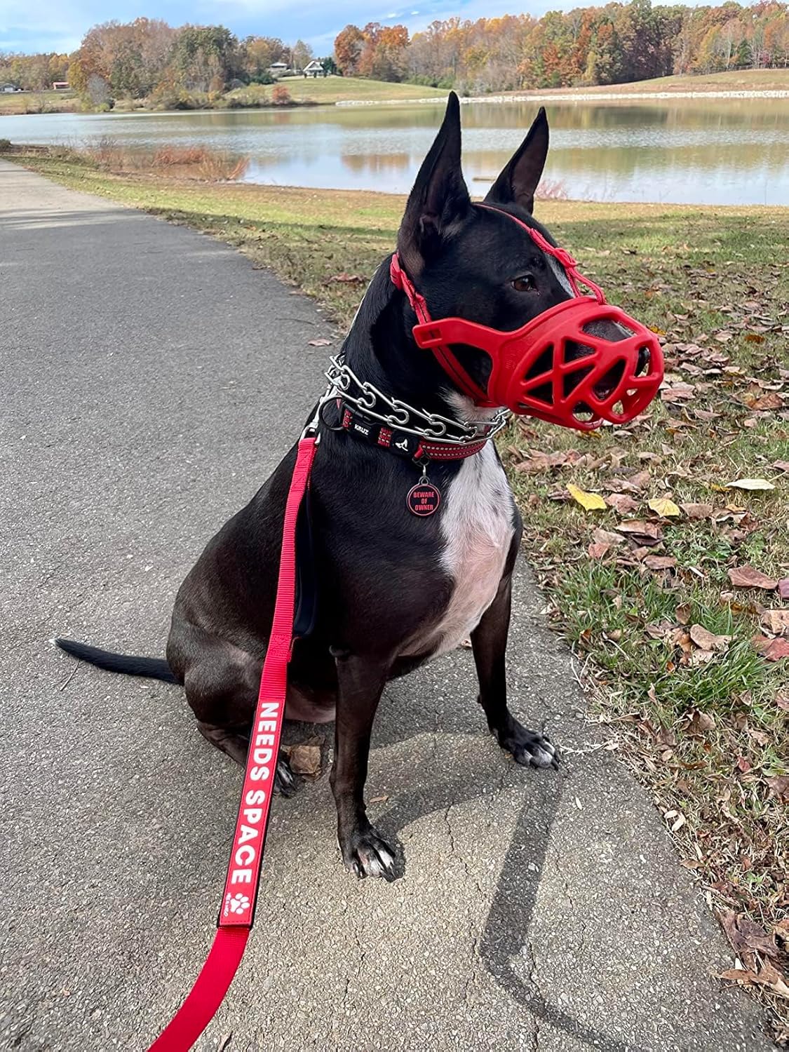 Mayerzon Dog Muzzle, Breathable Basket Muzzles for Small, Medium, Large and X-Large Aggressive Dogs Beagle German Shepherd Doberman, Cage Mouth Guard Stop Biting Chewing for Grooming Training