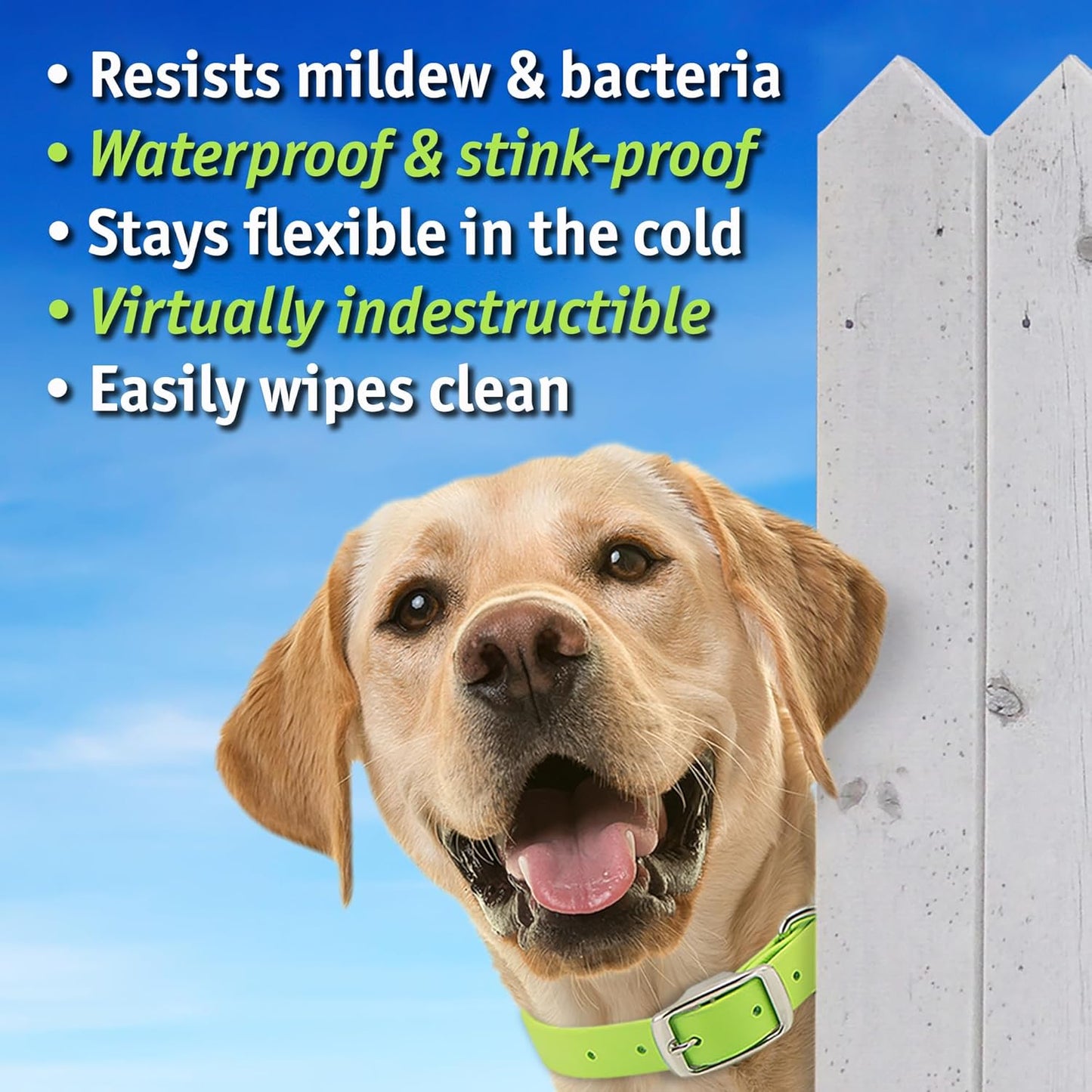 Biothane Custom Dog Collar – Waterproof, Stink-Proof Personalized Collar with Name & Phone Number – Durable, Many Sizes and Colors – Assembled in USA (Hunter Orange)